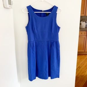 J Crew Textured Cotton Dress